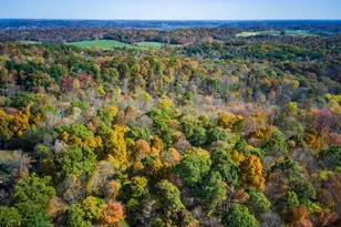 18384 Crawmer Rd SE, Heath, OH 43056 - Photo 47