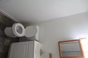 1543 Red Leaf Ln, Columbus, OH 43223 - Photo 29