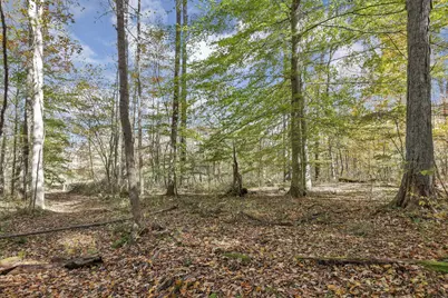 0 Clay Hill Rd Road, Logan, OH 43138 - Photo 3