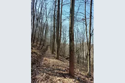 24796 E Fork Road, Laurelville, OH 43135 - Photo 33