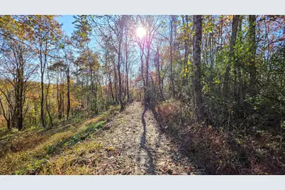 7705 Township Road 216 SE #(Woodview Cabin Scenic Trails), Corning, OH 43730 - Photo 47