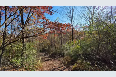 7705 Township Road 216 SE #(Woodview Cabin Scenic Trails), Corning, OH 43730 - Photo 49