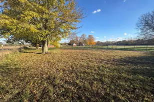 1675 State Route 529, Cardington, OH 43315 - Photo 29