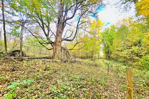 6054 Township Road 183, Cardington, OH 43315 - Photo 11