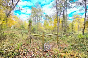 6054 Township Road 183, Cardington, OH 43315 - Photo 3