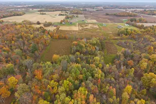 6054 Township Road 183, Cardington, OH 43315 - Photo 33