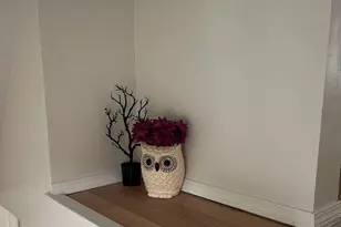 1008 Tibbetts Ave, Springfield, OH 45505 - Photo 15