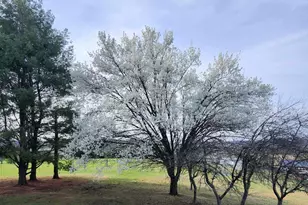 920 Hanna Ln, Londonderry, OH 45647 - Photo 11