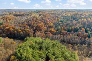 26316 Faris Rd, Creola, OH 45622 - Photo 41