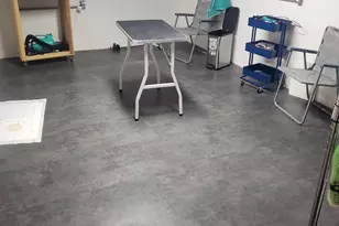 340 Gary St, Ashville, OH 43103 - Photo 37