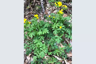 25779 Bailey Road, Rockbridge, OH 43149 - Photo 11