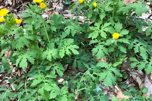 25779 Bailey Rd, Rockbridge, OH 43149 - Photo 11