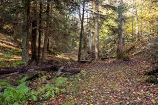 25779 Bailey Rd, Rockbridge, OH 43149 - Photo 75