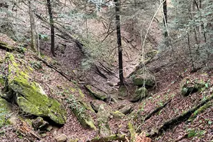 25779 Bailey Rd, Rockbridge, OH 43149 - Photo 21