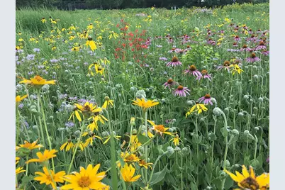 25779 Bailey Road, Rockbridge, OH 43149 - Photo 5