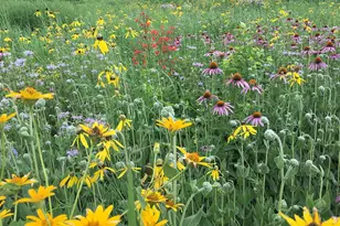 25779 Bailey Rd, Rockbridge, OH 43149 - Photo 5