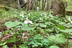 25779 Bailey Rd, Rockbridge, OH 43149 - Photo 9