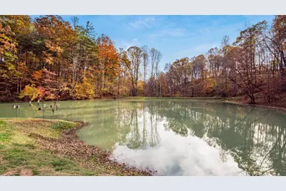 46585 Morning Star Road, Racine, OH 45771 - Photo 9