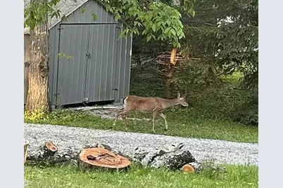 7664 Denunes Road, Johnstown, OH 43031 - Photo 65