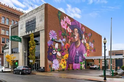 440 S Broadmoor Boulevard, Springfield, OH 45504 - Photo 69