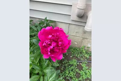 922 Wellsley Way, Plain City, OH 43064 - Photo 43