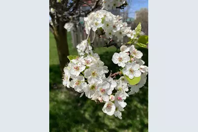 922 Wellsley Way, Plain City, OH 43064 - Photo 39