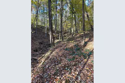 329 Kinzer Road, Bainbridge, OH 45612 - Photo 53