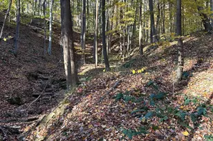 329 Kinzer Rd, Bainbridge, OH 45612 - Photo 53