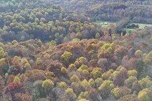 329 Kinzer Rd, Bainbridge, OH 45612 - Photo 81