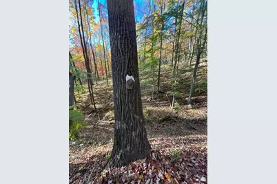 329 Kinzer Road, Bainbridge, OH 45612 - Photo 57