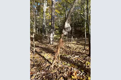 329 Kinzer Road, Bainbridge, OH 45612 - Photo 43