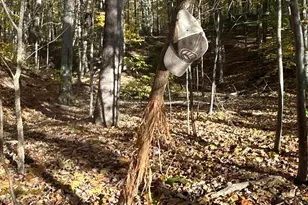 329 Kinzer Rd, Bainbridge, OH 45612 - Photo 43