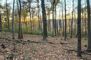 329 Kinzer Rd, Bainbridge, OH 45612 - Photo 71