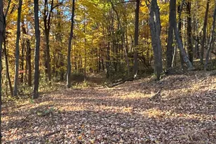 329 Kinzer Rd, Bainbridge, OH 45612 - Photo 65