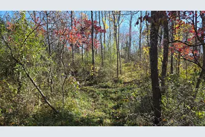 7507 Township Rd 215-A SE #(Tract 7 at Shawnee Woods), Corning, OH 43730 - Photo 19