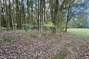 15596 Carson Rd, Mount Vernon, OH 43050 - Photo 41