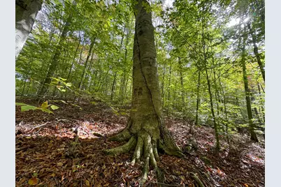 7447 Township Rd 215-A SE #(Tract 6 at Shawnee Woods), Corning, OH 43730 - Photo 17