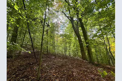 7447 Township Rd 215-A SE #(Tract 6 at Shawnee Woods), Corning, OH 43730 - Photo 5