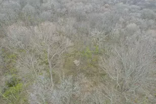 2956 Egypt Pike, Chillicothe, OH 45601 - Photo 65