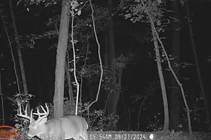 2956 Egypt Pike, Chillicothe, OH 45601 - Photo 55