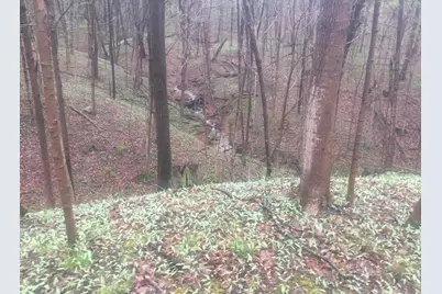 2956 Egypt Pike, Chillicothe, OH 45601 - Photo 57