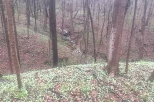 2956 Egypt Pike, Chillicothe, OH 45601 - Photo 57