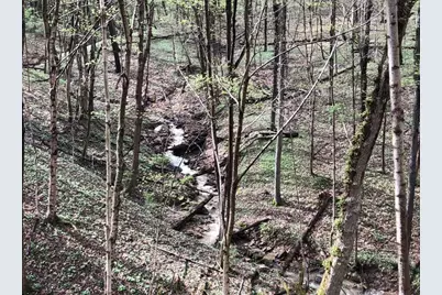 2956 Egypt Pike, Chillicothe, OH 45601 - Photo 53