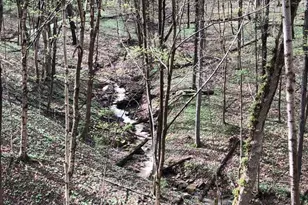 2956 Egypt Pike, Chillicothe, OH 45601 - Photo 53