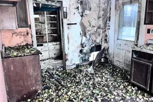 242 Chestnut Ave, Springfield, OH 45503 - Photo 31