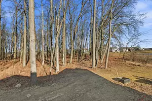 3668 Colts Reign Dr, Powell, OH 43065 - Photo 39