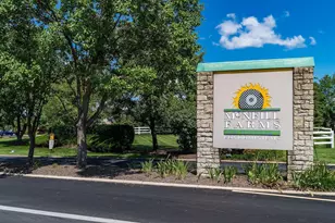 233 Macfalls Way, Blacklick, OH 43004 - Photo 33