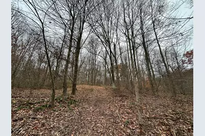 30870 Jug Run Road, Frazeysburg, OH 43822 - Photo 47