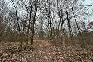 30870 Jug Run Rd, Frazeysburg, OH 43822 - Photo 47