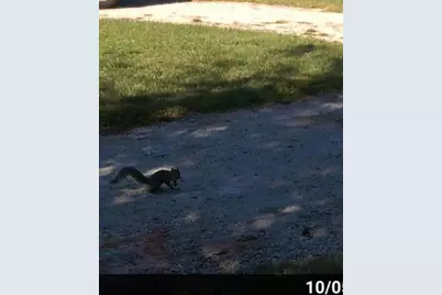 234 Jordan Street, Reesville, OH 45166 - Photo 21